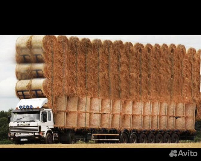 Солома в рулонах пшеничная