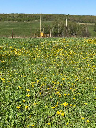 Дом 160 м² на участке 14 сот.