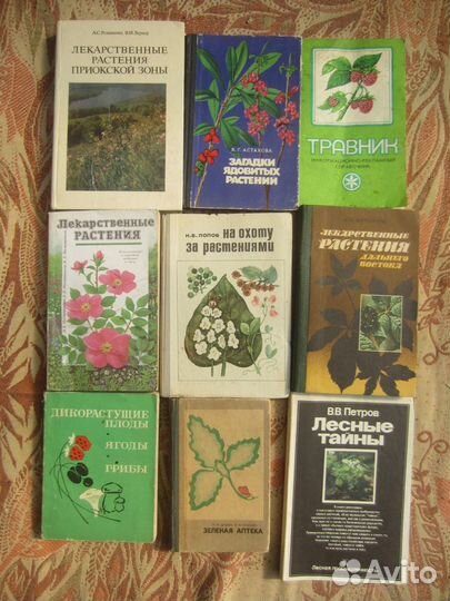 Д.П. Зуев. Дары русского леса. 1988 год