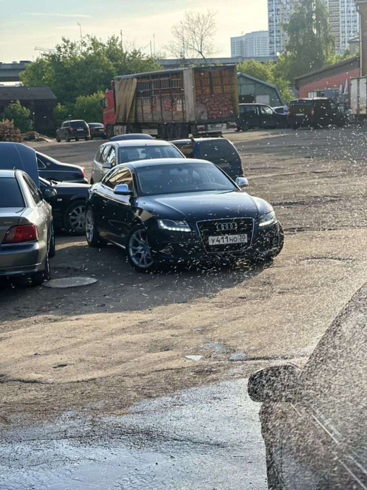 Audi A5: фото владельца