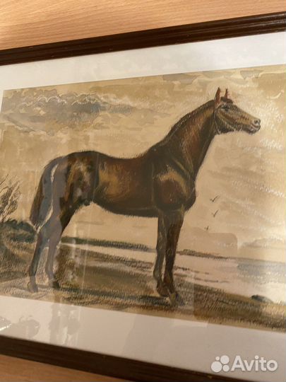 Картина с лошадью под стеклом