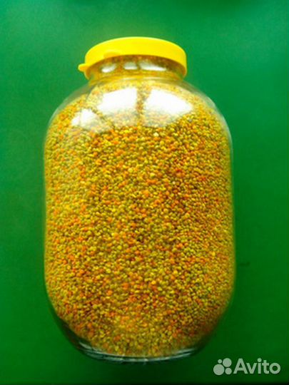 Пыльца цветочная (обножка) Пенза 2023г