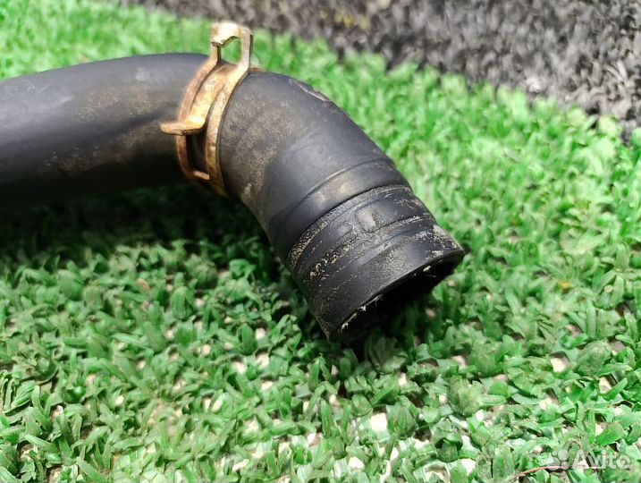 Патрубок радиатора нижний Nissan Pathfinder