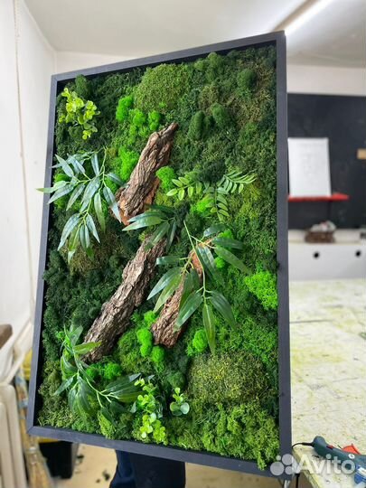 Стабилизированный мох/ картина из мха/ фитопанно