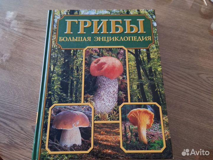 Энциклопедия