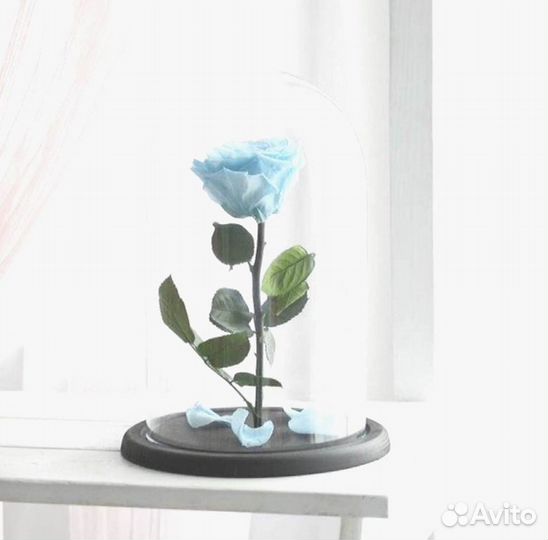 Роза в колбе