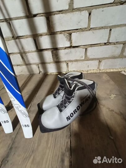 Беговые лыжи