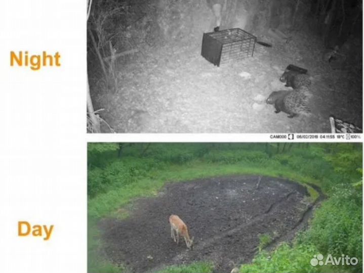 Фотоловушка HC-802A