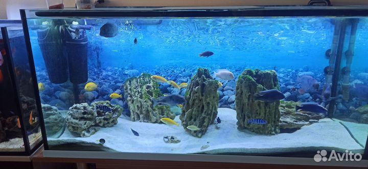 Аквариум 320 литров
