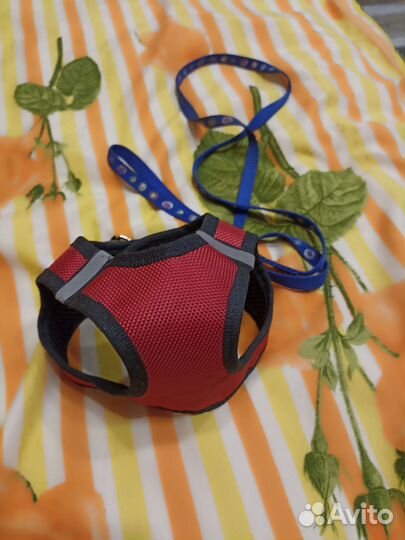 Ошейник для собак, размер s