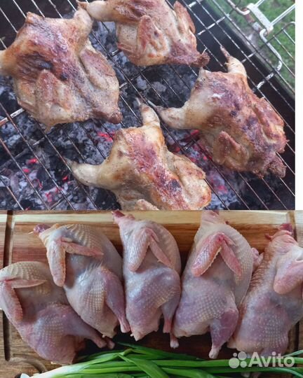 Мясо перепелов