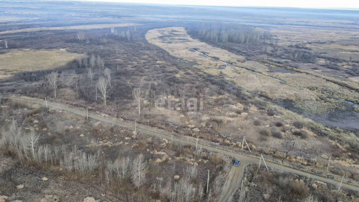 Участок 36,2 сот. (СНТ, ДНП)