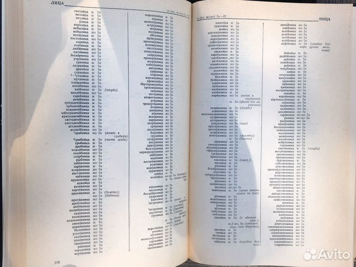 Грамматический словарь русского языка А.А.Зализняк