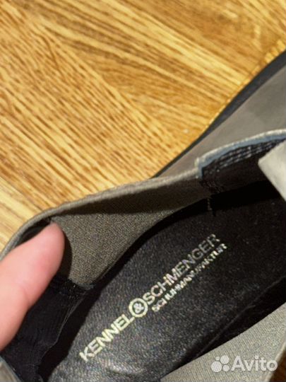 Челси kennel & schmenger