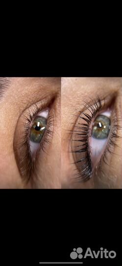 Требуются модели бесплатно