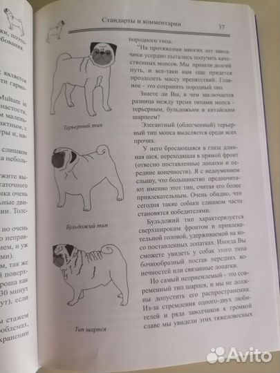 Книга Мопс Зазарова 2002