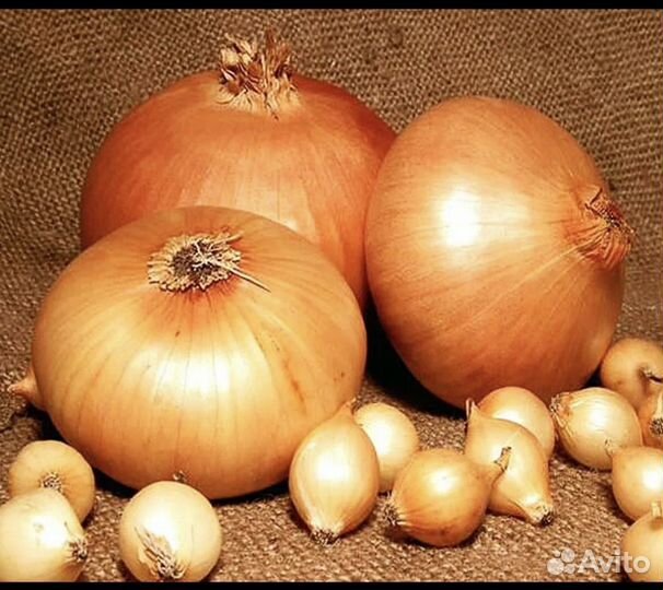 Продам картофель., лук, морковь.Опт, розница