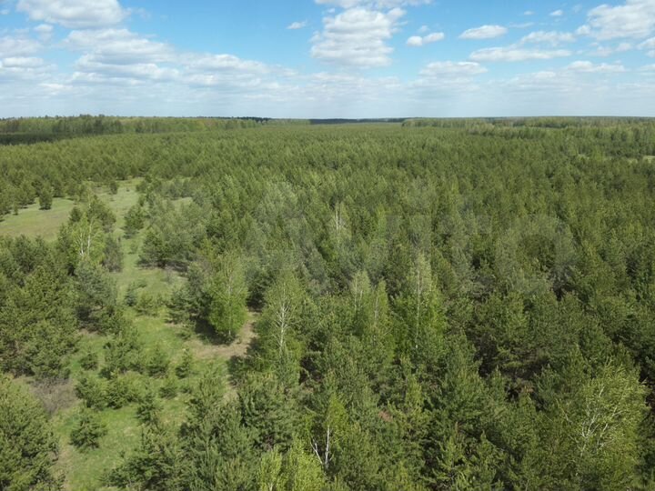 Участок 29,5 га (СНТ, ДНП)