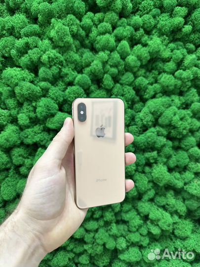 iPhone Xs, 256 ГБ