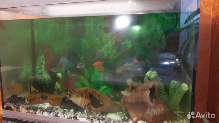 Аквариум