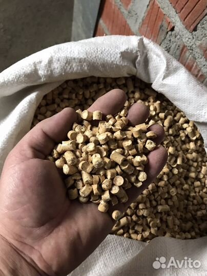 Кошачий туалет, древестный