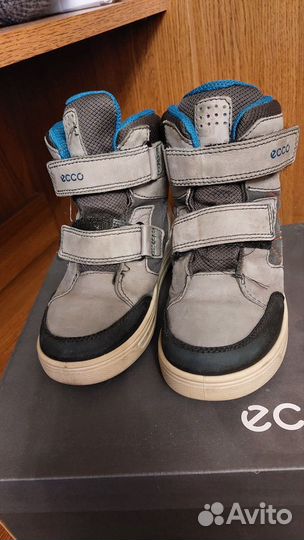 Ботинки ecco на мальчика