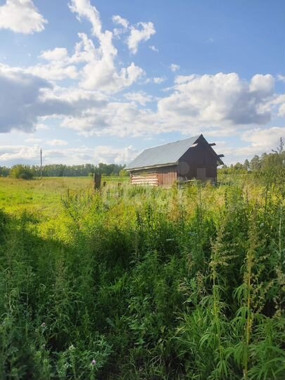 Дом 39,1 м² на участке 29,7 сот.