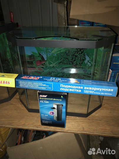 Аквариум новый