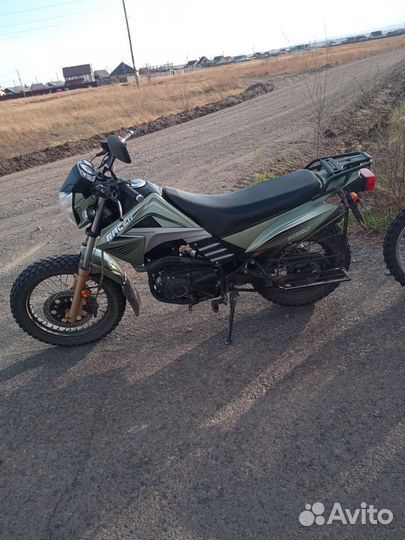 Racer Forester 200LT
