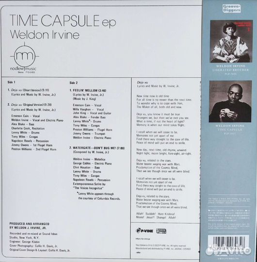 Виниловые пластинки