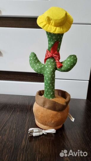 Танцующий и поющий кактус