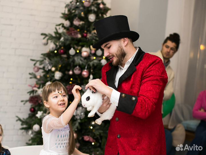 Детский фокусник и зверюшки Аниматор