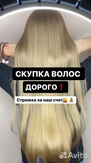 Покупаем волосы в Новосибирске