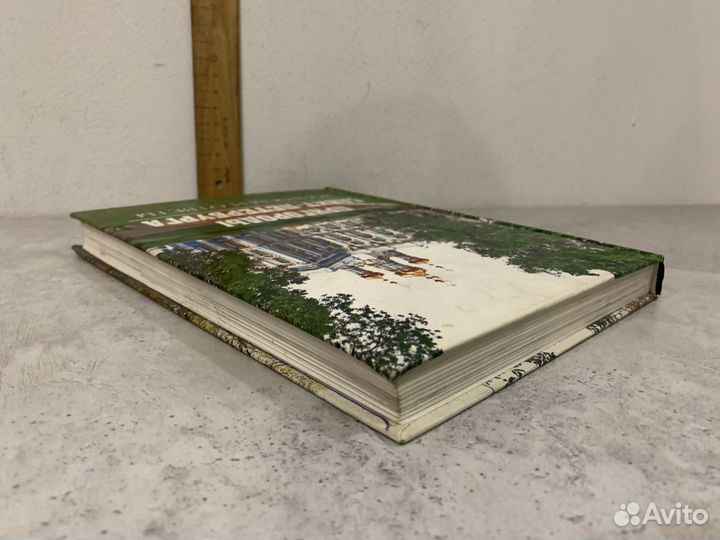 Пригороды Санкт-Петербурга. Вопросы и ответы