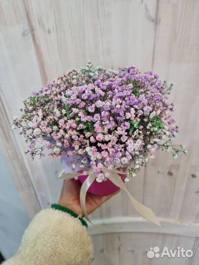 Гипсофила в коробке,радужная гипсофила