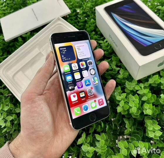iPhone SE (2020), 64 ГБ