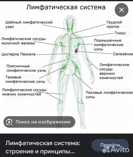 Коррекция фигуры и лица массаж
