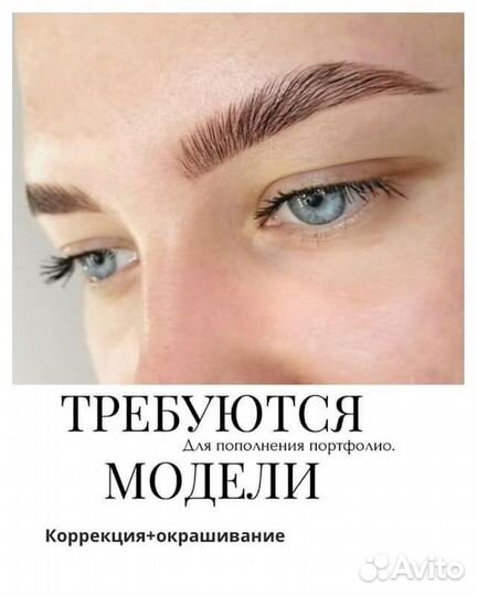 Мастер бровист