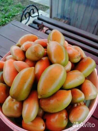 Томаты свежие, зеленые