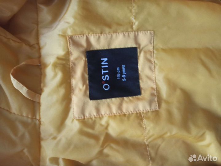 Ветровка для мальчика 116 Остин