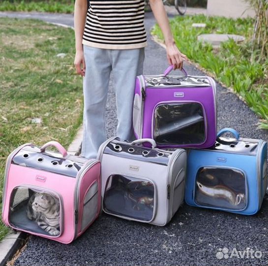 Топовые переноски для кошек и собак