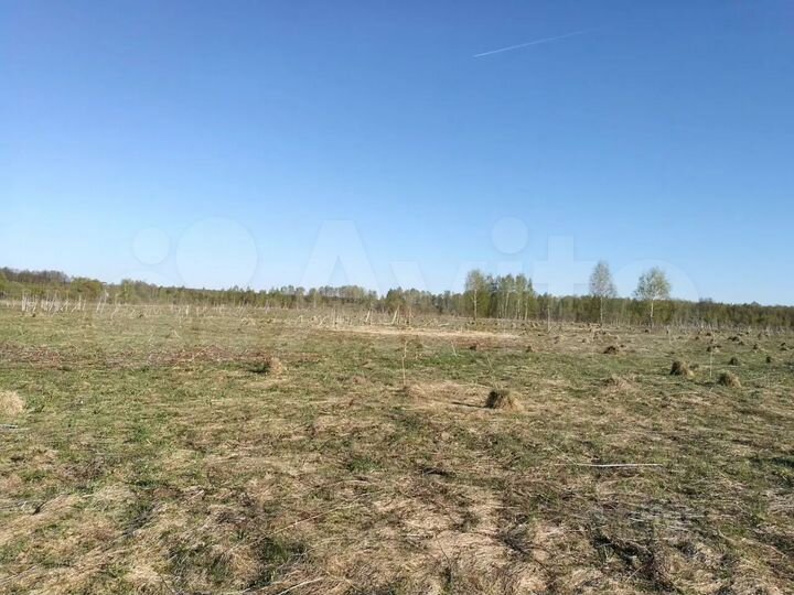 Участок 30 га (СНТ, ДНП)
