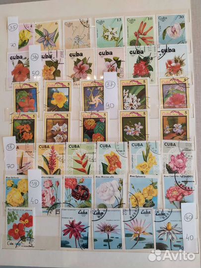 Почтовые марки Куба флора и фауна. Часть 2