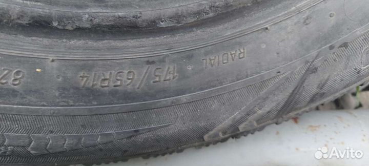 Accelera 651 Sport 175/65 R14