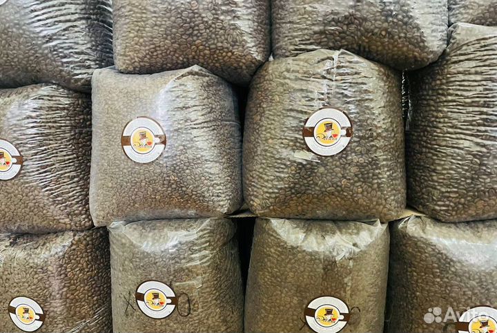 Кофе зерновой (оптом/дилерам)