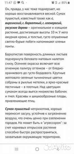 Суммах оленерогий