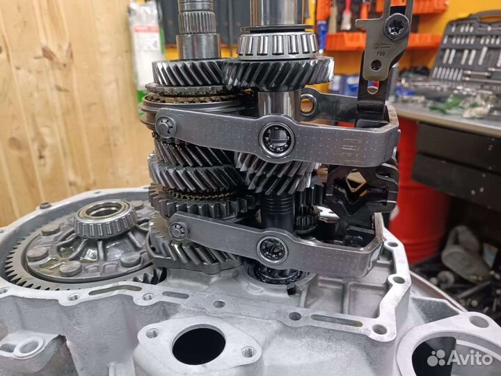 С мопсом глянули фото кп, он поперхнулся педигри