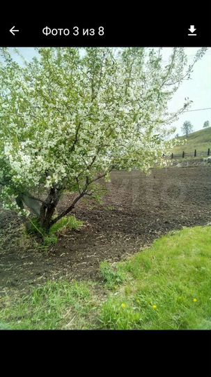 Участок 23,8 сот. (ИЖС)