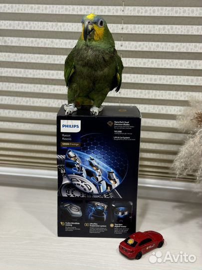 Новая Philips S9000 Prestige SP9872/22