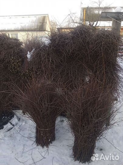 Веники для подмитание